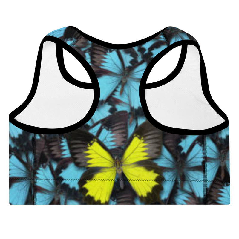 The Premier Wingz Padded Sports Bra